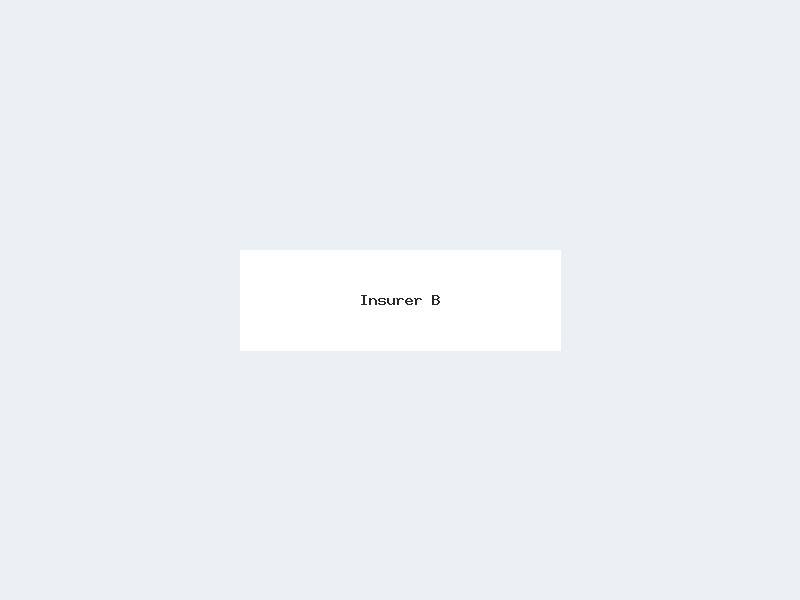 Insurer B